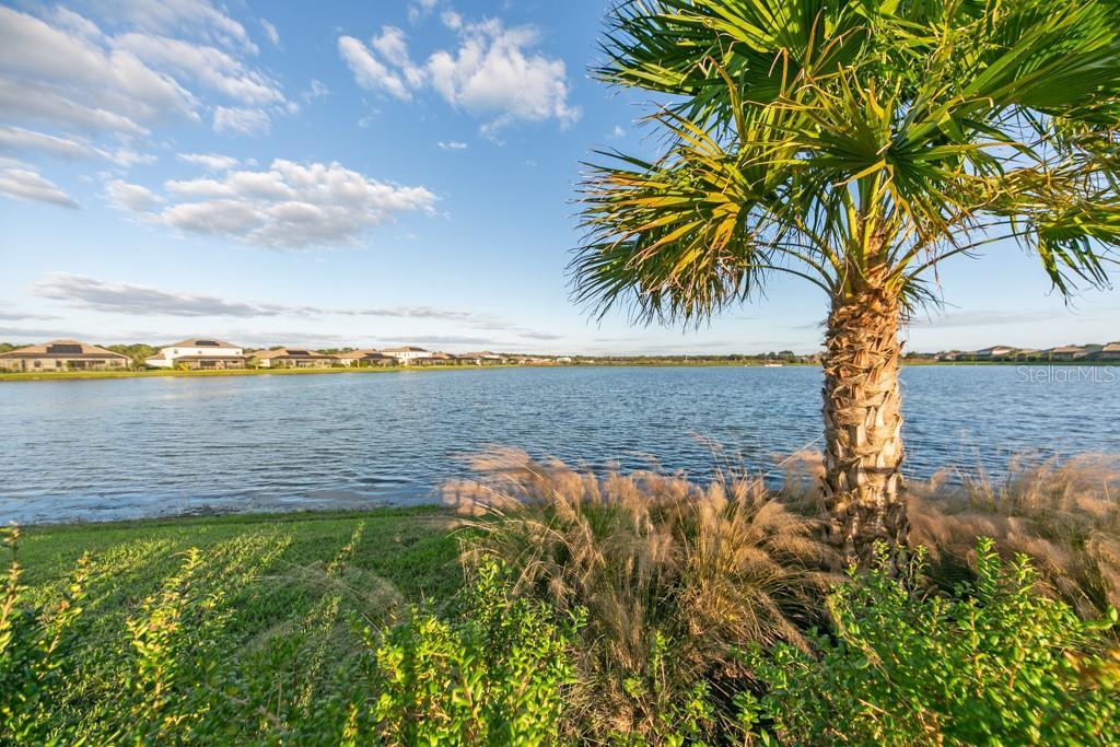 17610 POLO TRL, BRADENTON, FL, 34211
