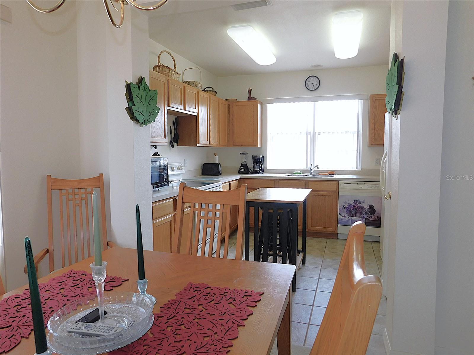 13100 SE 93RD TERRACE RD, SUMMERFIELD, FL, 34491