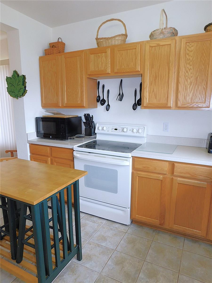 13100 SE 93RD TERRACE RD, SUMMERFIELD, FL, 34491