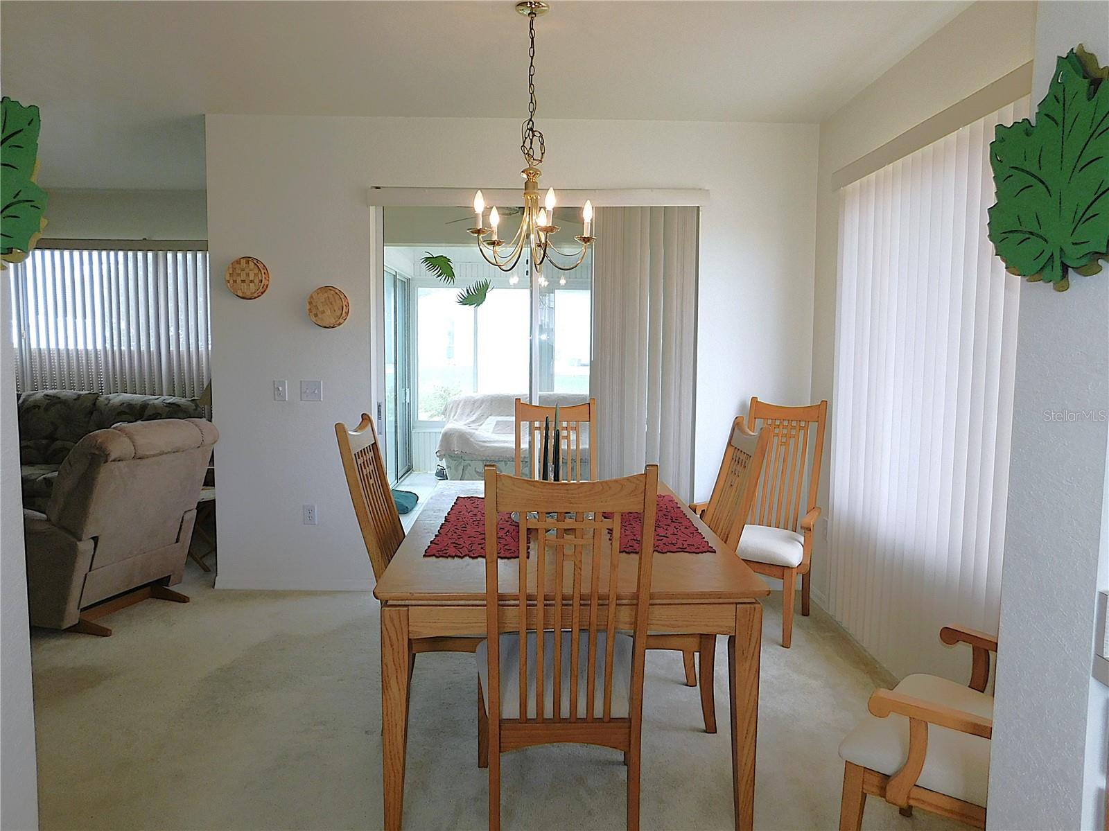 13100 SE 93RD TERRACE RD, SUMMERFIELD, FL, 34491