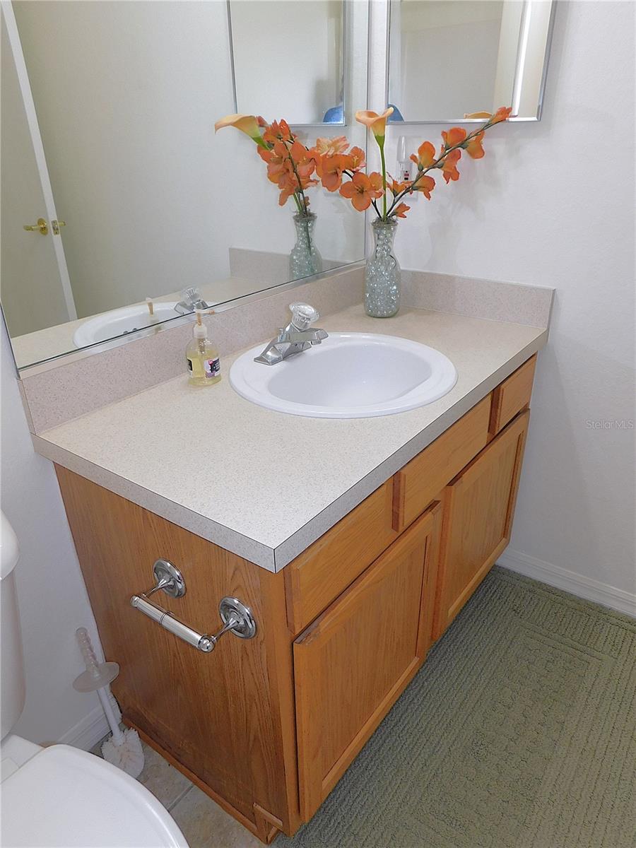 13100 SE 93RD TERRACE RD, SUMMERFIELD, FL, 34491