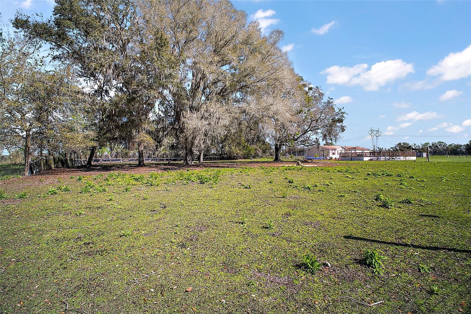 10687 C 469, CENTER HILL, FL, 33514