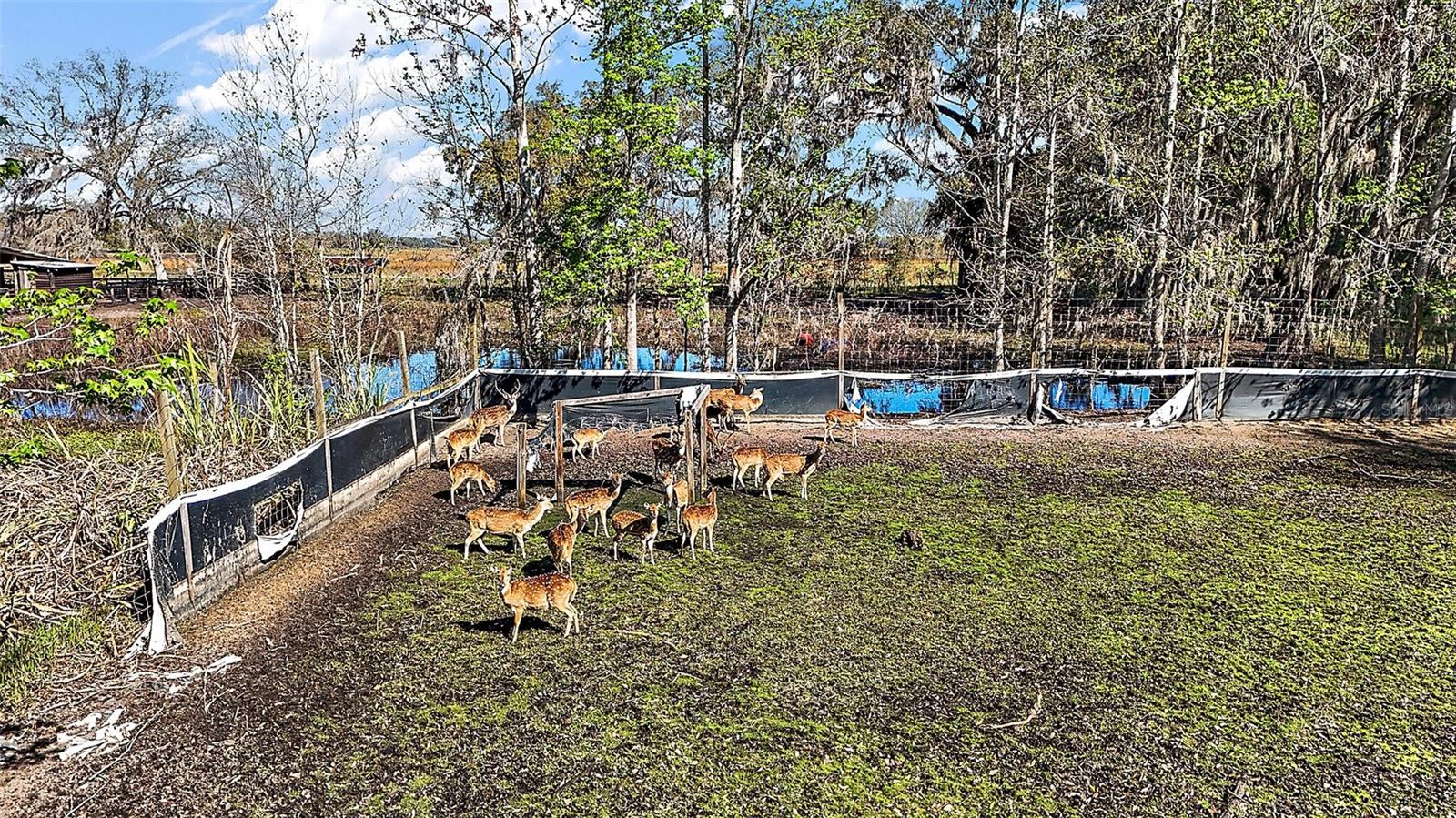 10687 C 469, CENTER HILL, FL, 33514