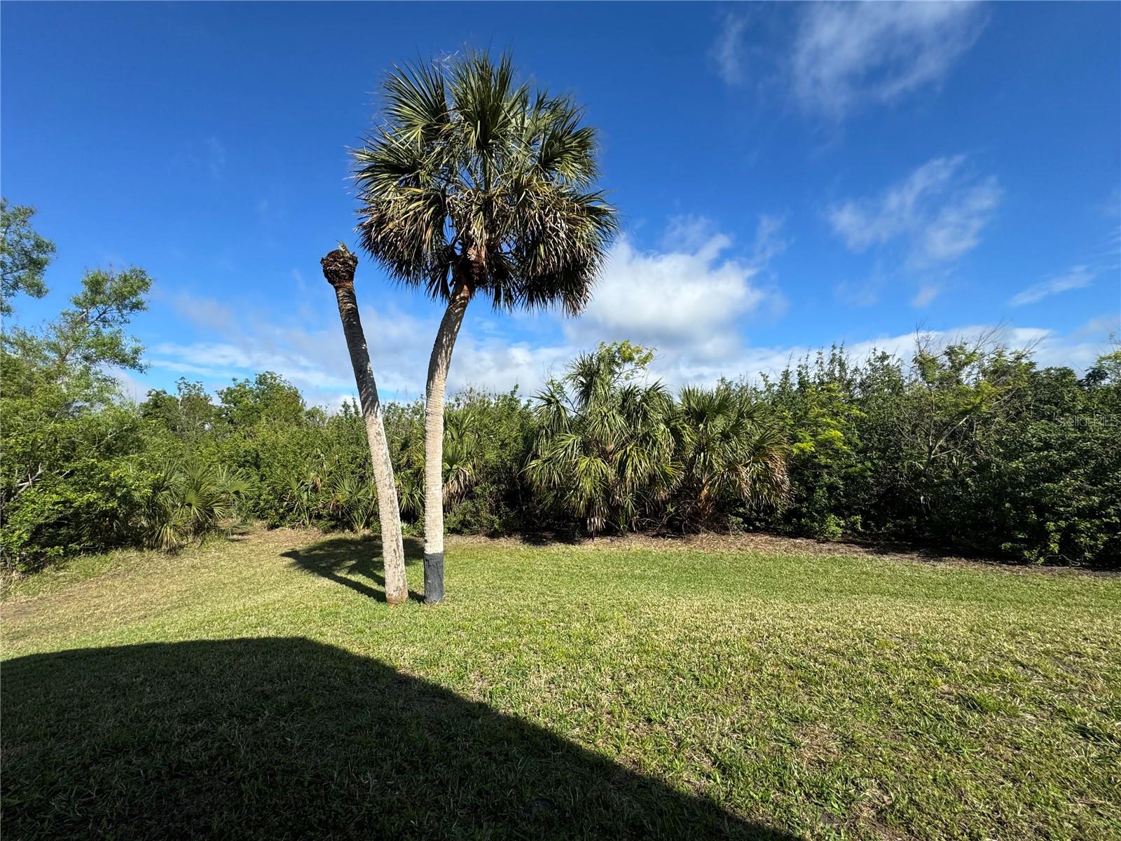 14244 SPRUCE LN, PORT CHARLOTTE, FL, 33953