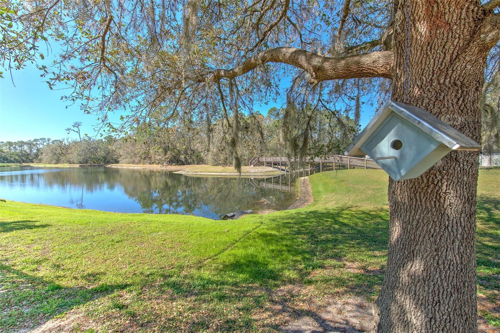 6217 EVANSBROOK DR, ZEPHYRHILLS, FL, 33541