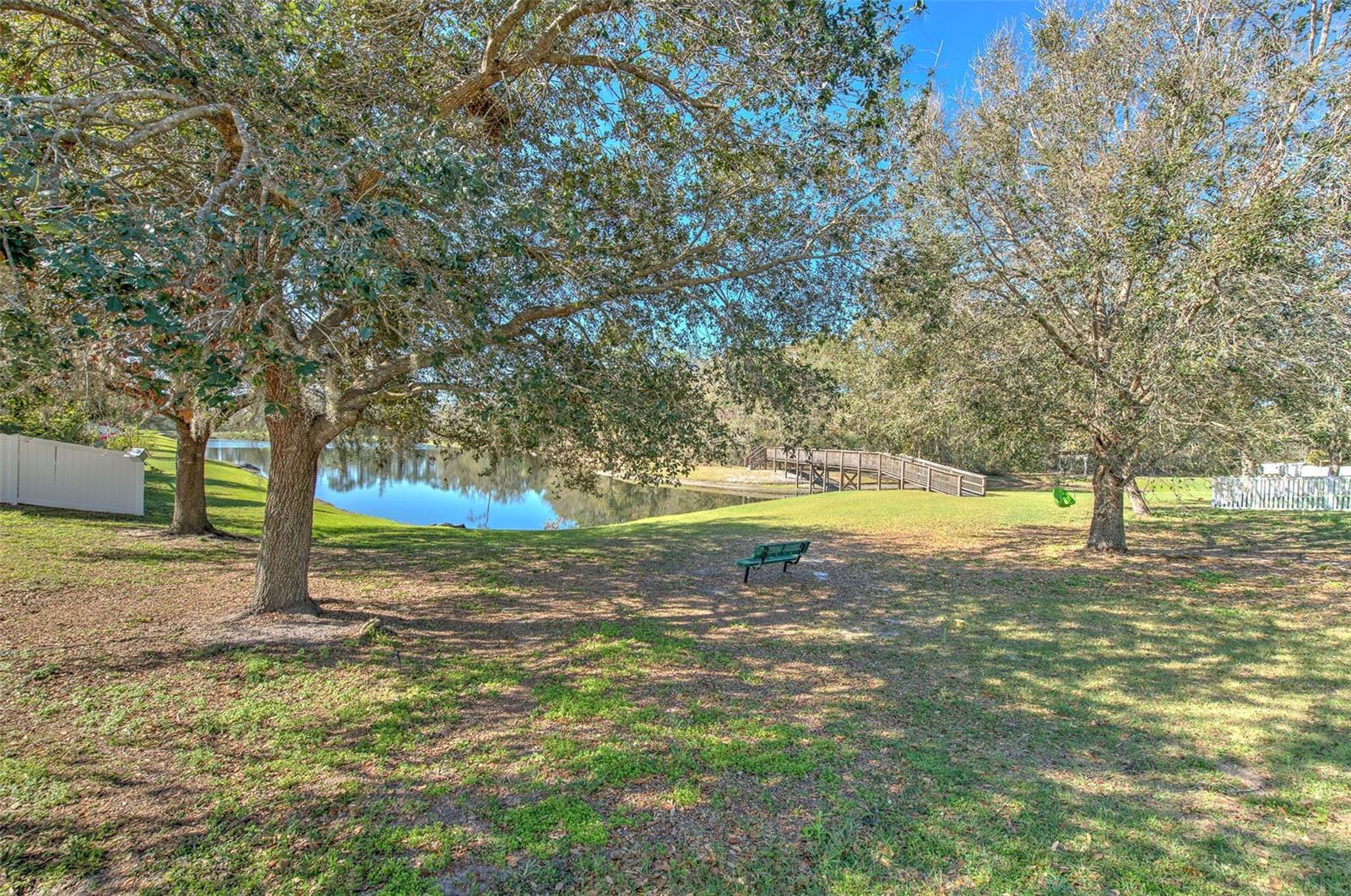 6217 EVANSBROOK DR, ZEPHYRHILLS, FL, 33541