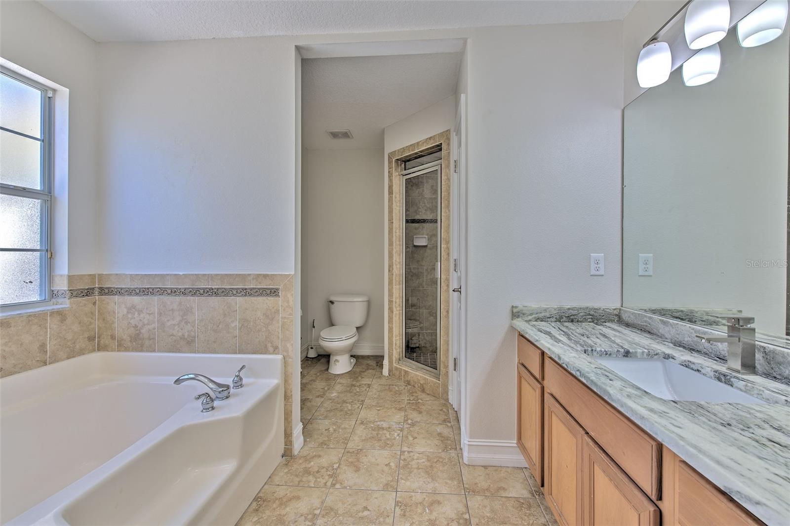 6217 EVANSBROOK DR, ZEPHYRHILLS, FL, 33541