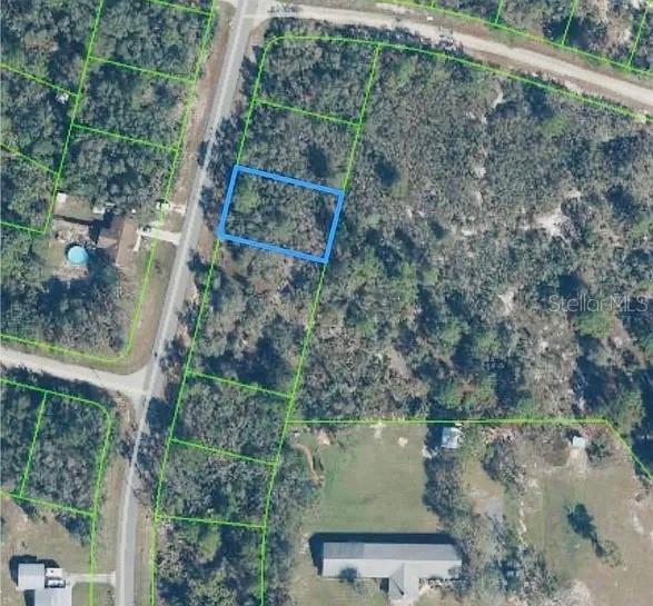 919 WILDFLOWER ST, LAKE PLACID, FL, 33852