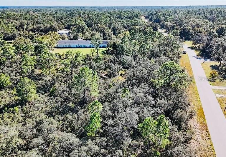 919 WILDFLOWER ST, LAKE PLACID, FL, 33852