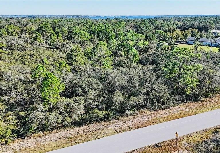 919 WILDFLOWER ST, LAKE PLACID, FL, 33852