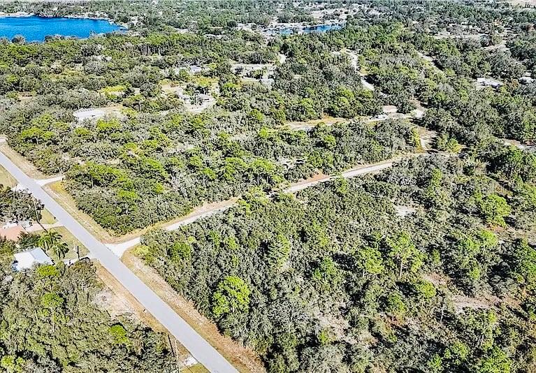 919 WILDFLOWER ST, LAKE PLACID, FL, 33852