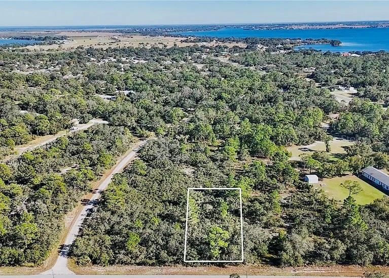 919 WILDFLOWER ST, LAKE PLACID, FL, 33852