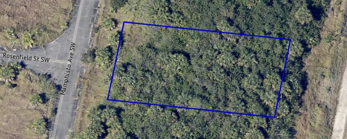 2755 MAPHISTO AVE SW, PALM BAY, FL, 32908