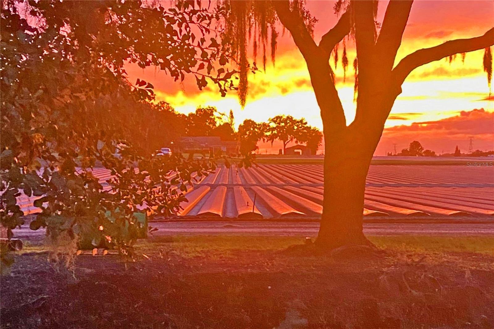 2102 W KNIGHTS GRIFFIN RD, PLANT CITY, FL, 33565