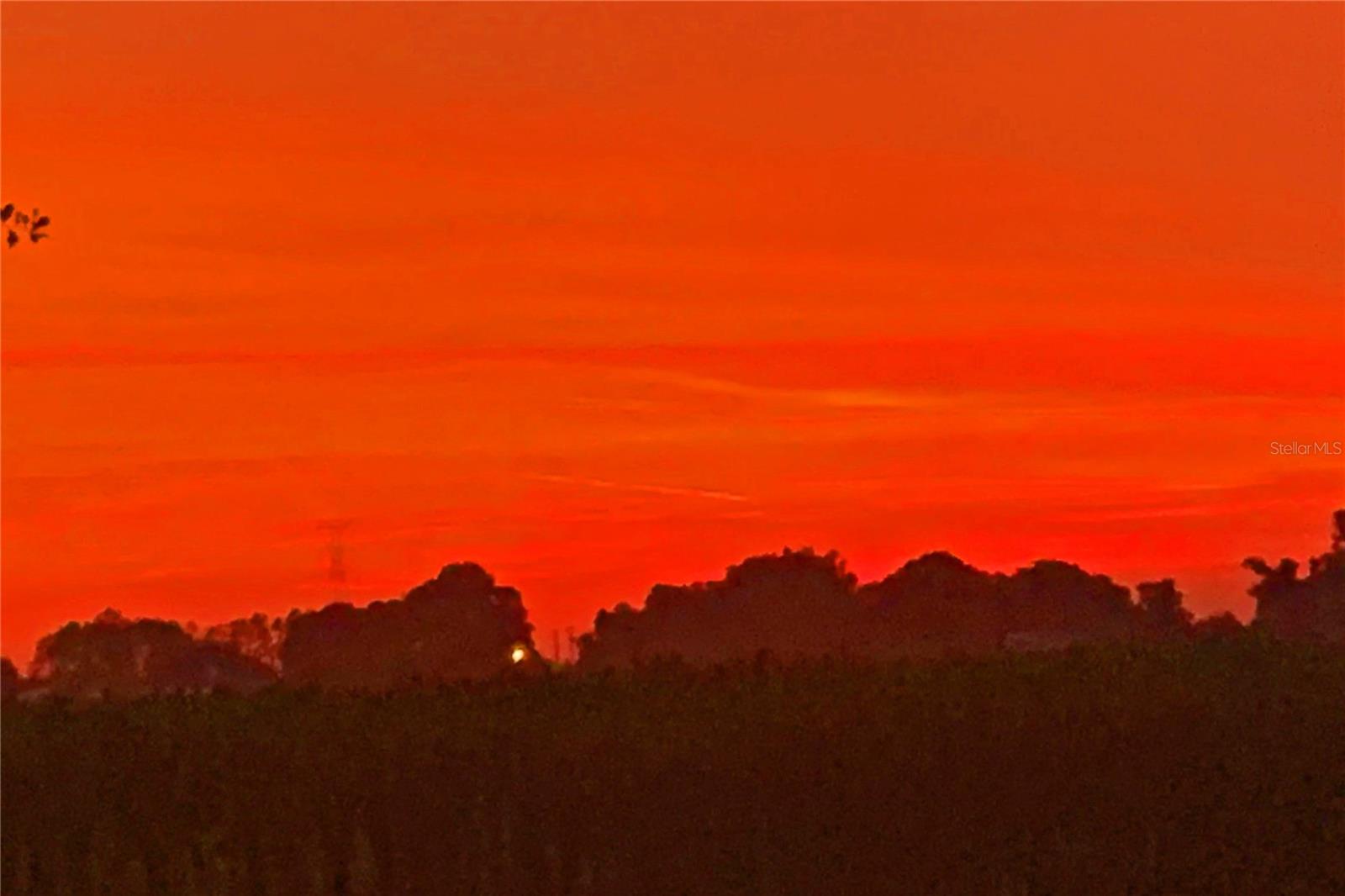 2102 W KNIGHTS GRIFFIN RD, PLANT CITY, FL, 33565