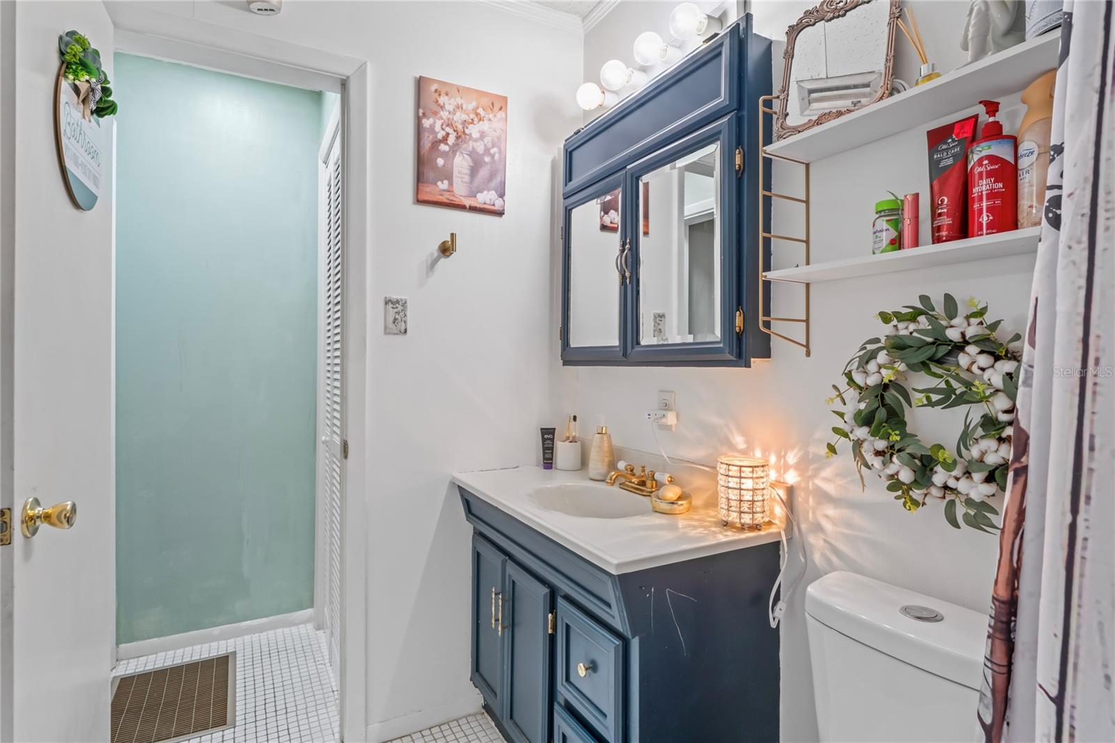 2102 W KNIGHTS GRIFFIN RD, PLANT CITY, FL, 33565