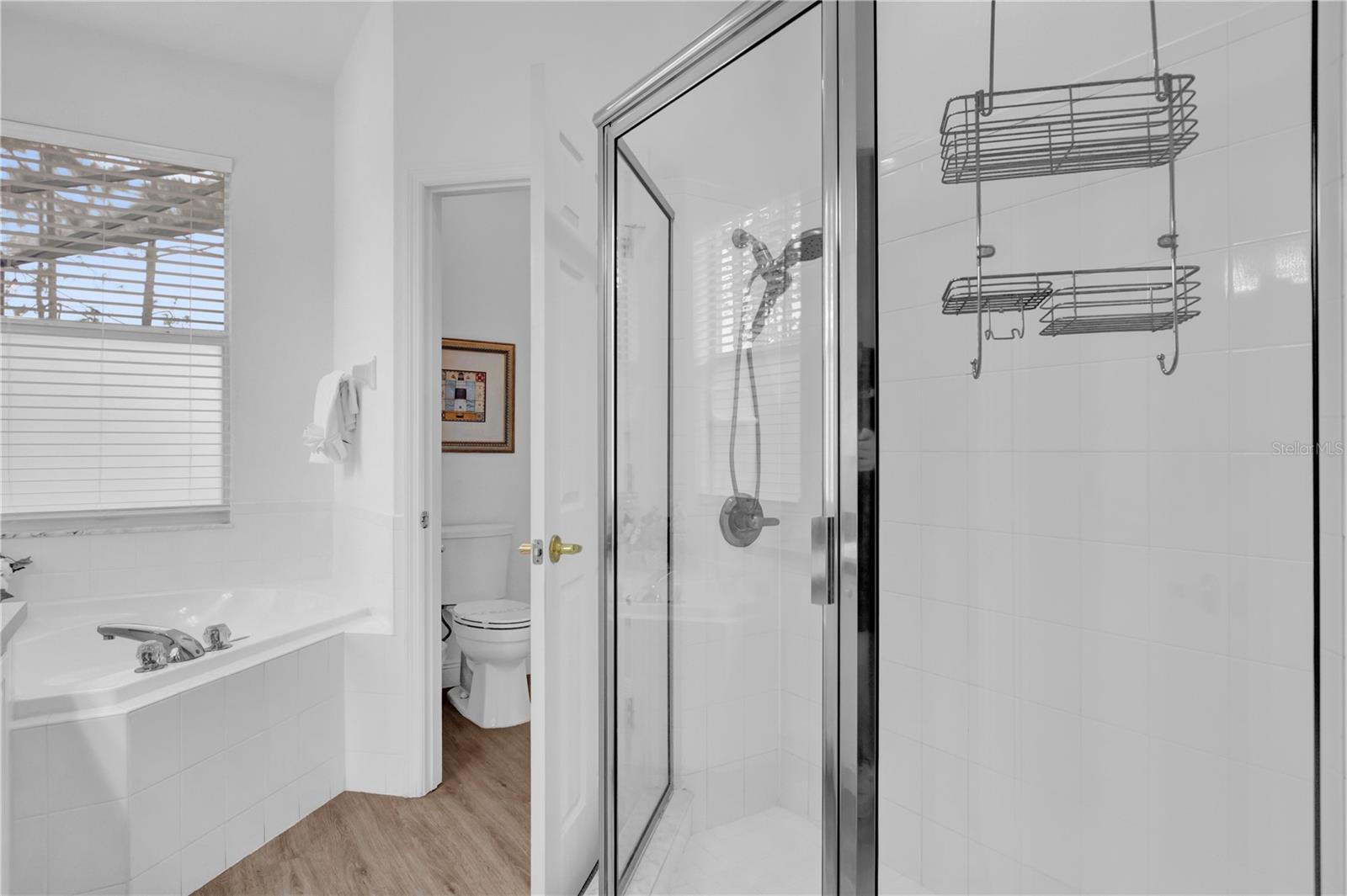 408 ORISTA DR, DAVENPORT, FL, 33897