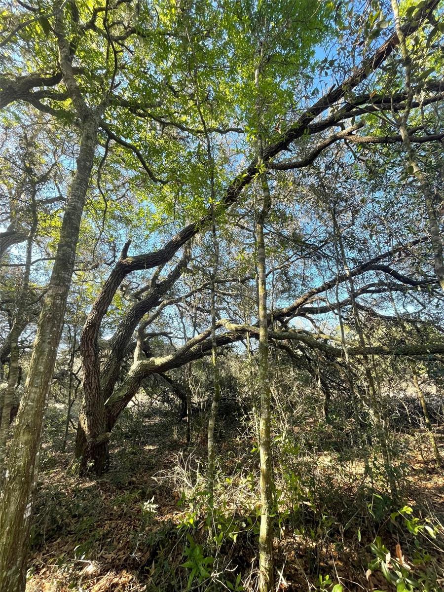 0 GOOD HOPE LN, SPRING HILL, FL, 34610