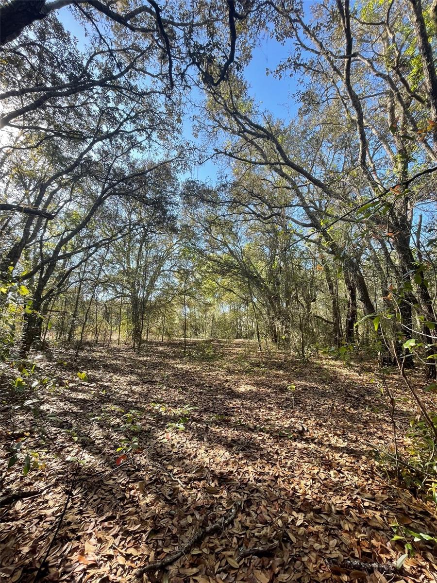 0 GOOD HOPE LN, SPRING HILL, FL, 34610