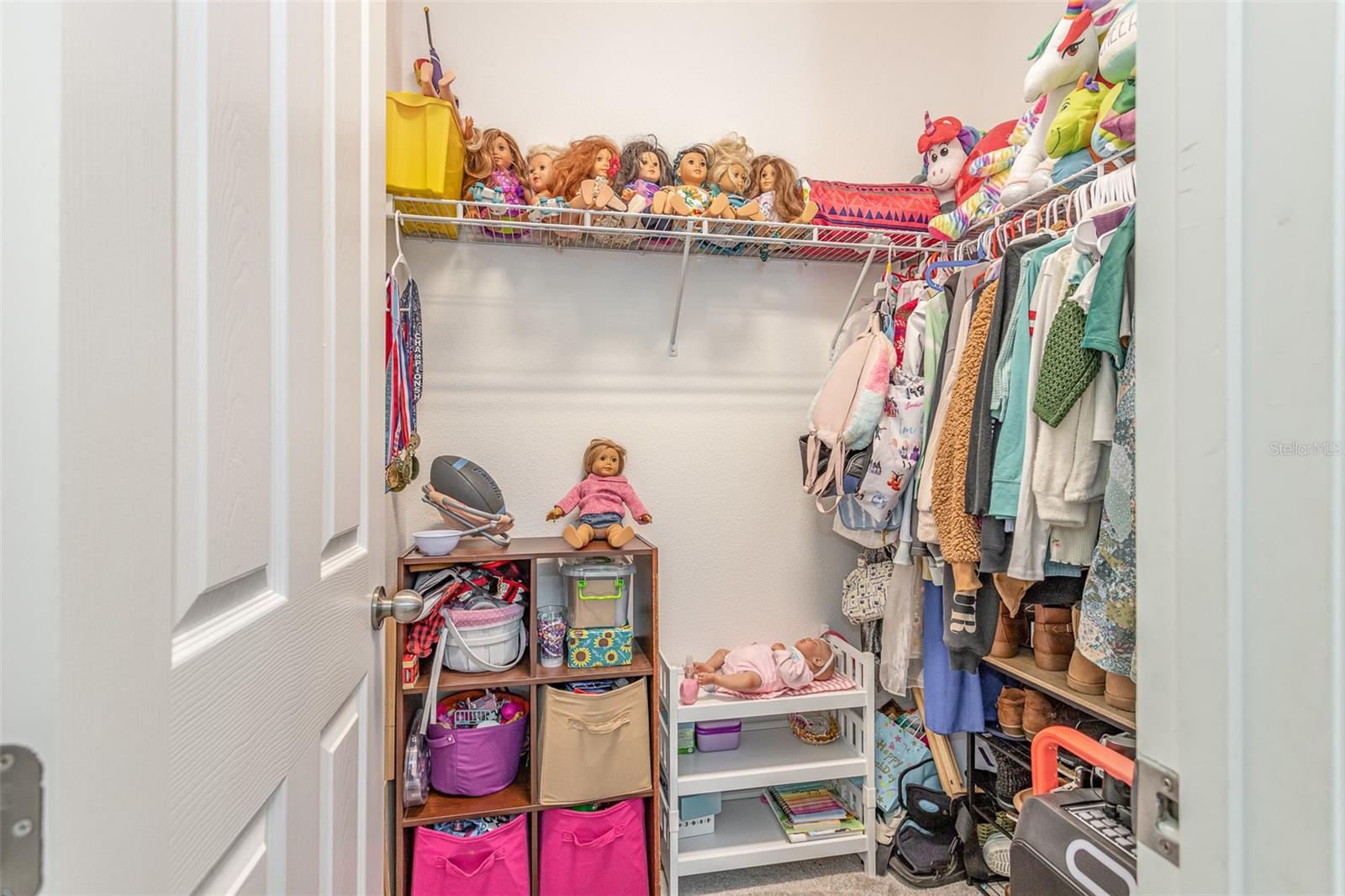 16694 OLIVE HILL DR, WINTER GARDEN, FL, 34787
