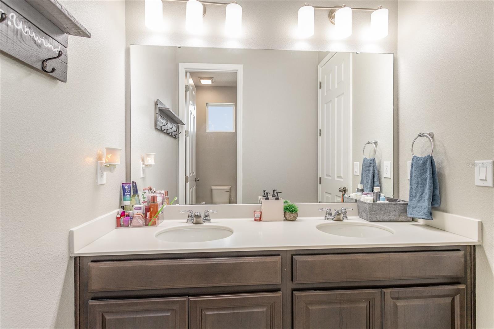 16694 OLIVE HILL DR, WINTER GARDEN, FL, 34787
