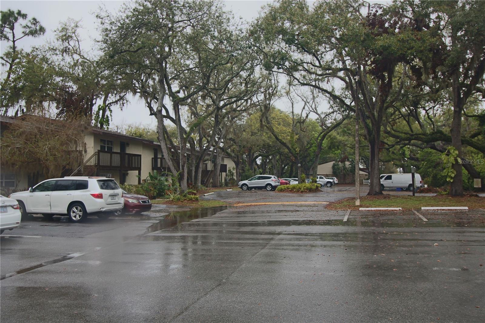 141 FERNERY RD #B5, LAKELAND, FL, 33809