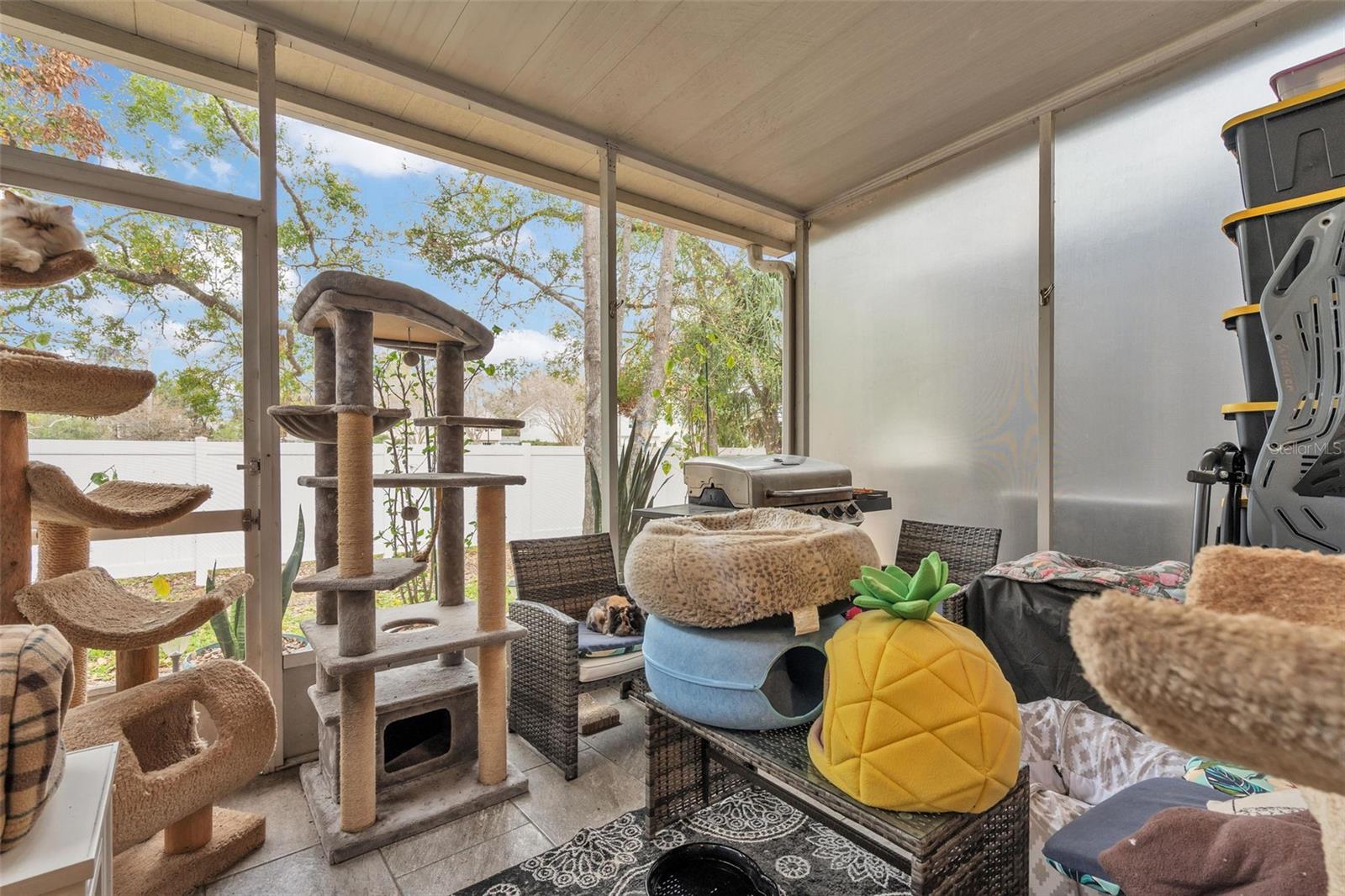 8418 SANDY BEACH ST, TAMPA, FL, 33634