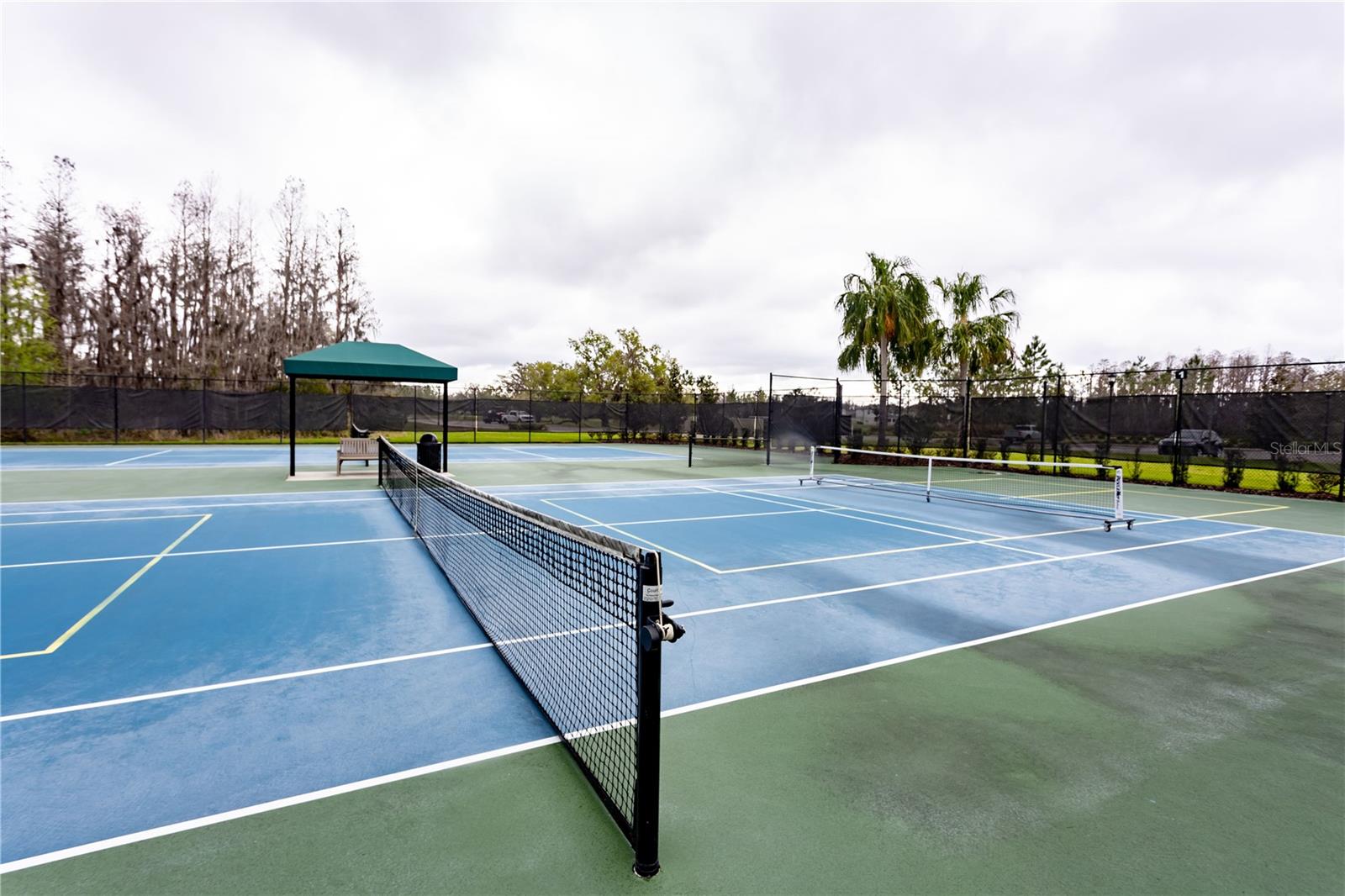10812 APPLEWOOD RANGE WAY, TAMPA, FL, 33647