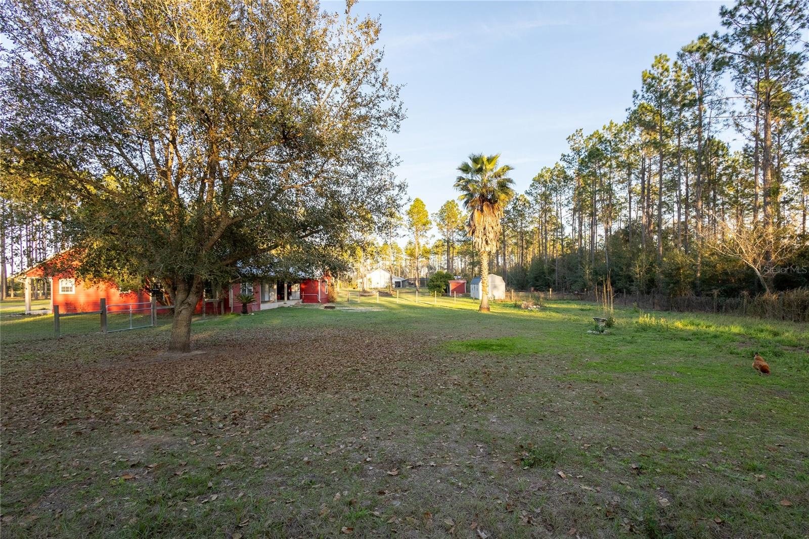 831 SE 11TH PL, WILLISTON, FL, 32696