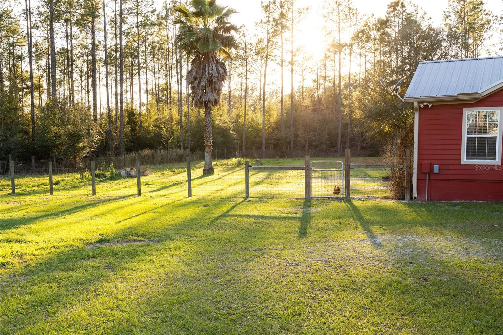 831 SE 11TH PL, WILLISTON, FL, 32696