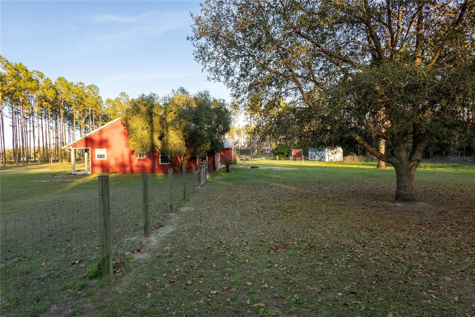831 SE 11TH PL, WILLISTON, FL, 32696