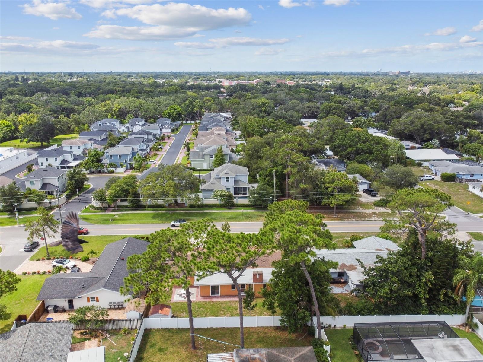 1290 MICHIGAN BLVD, DUNEDIN, FL, 34698