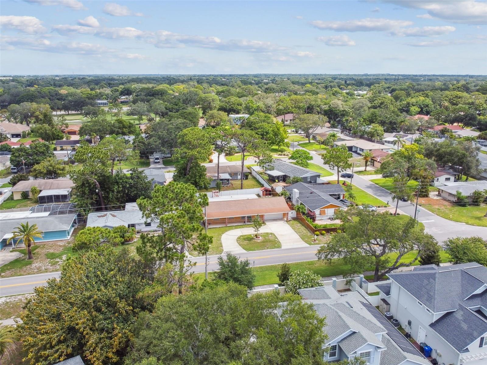 1290 MICHIGAN BLVD, DUNEDIN, FL, 34698