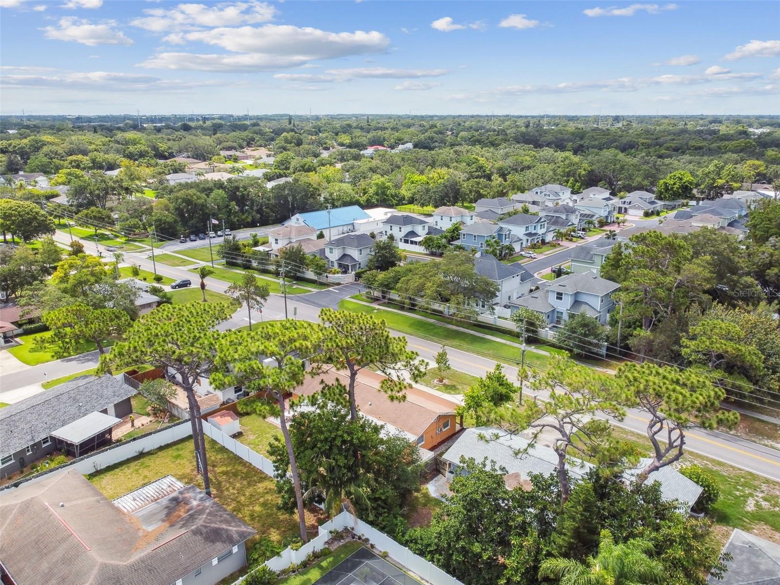 1290 MICHIGAN BLVD, DUNEDIN, FL, 34698