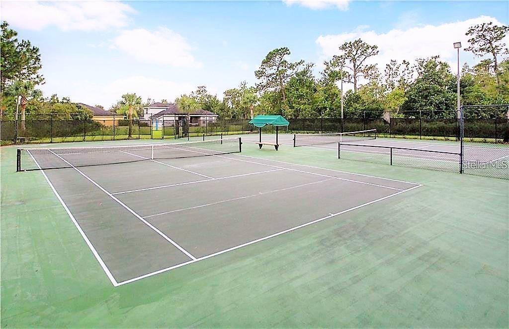 20012 OAKFLOWER AVE, TAMPA, FL, 33647