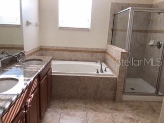 20012 OAKFLOWER AVE, TAMPA, FL, 33647