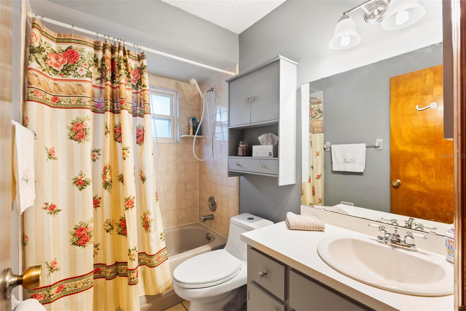 290 BIRCH AVE, ORANGE CITY, FL, 32763