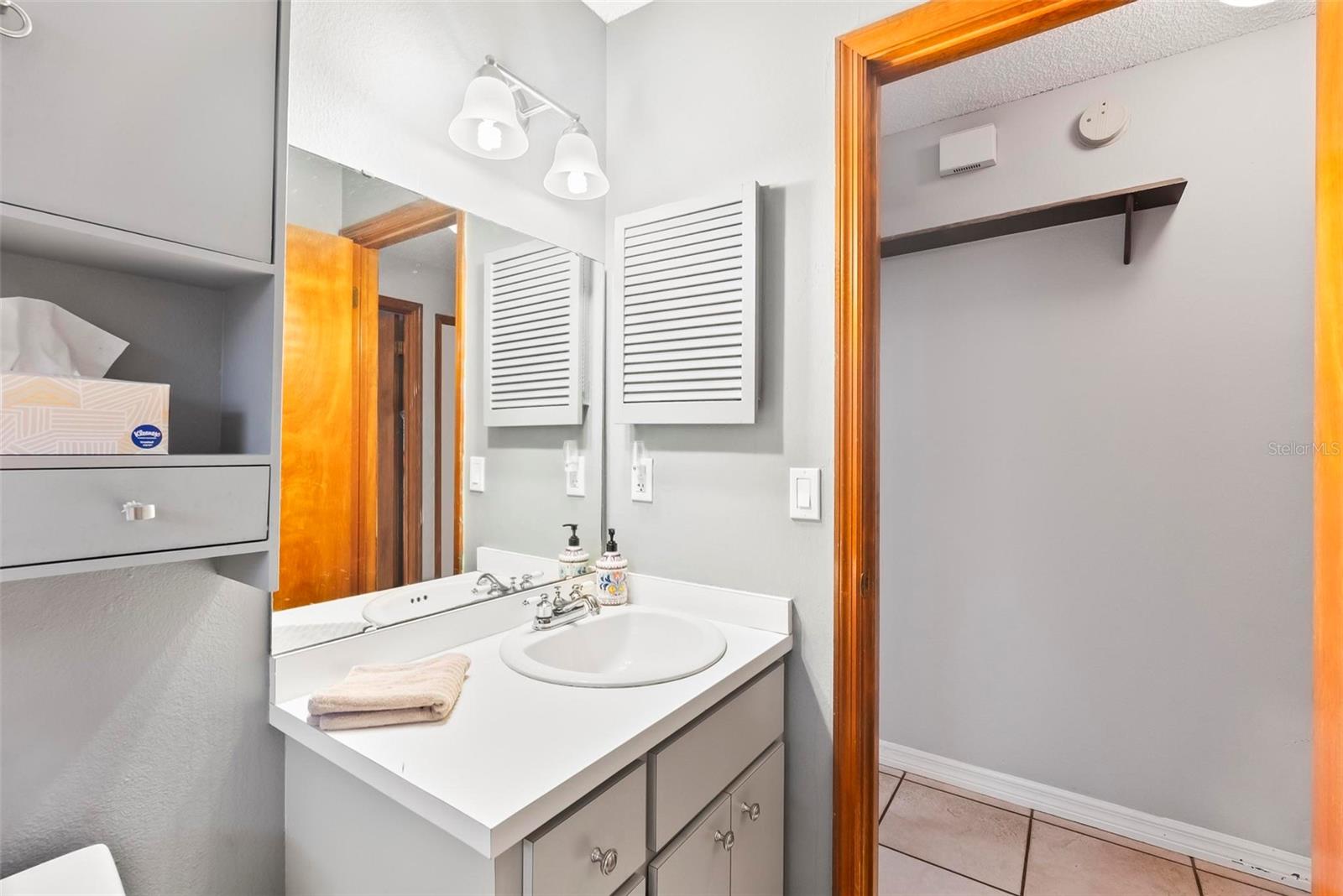 290 BIRCH AVE, ORANGE CITY, FL, 32763