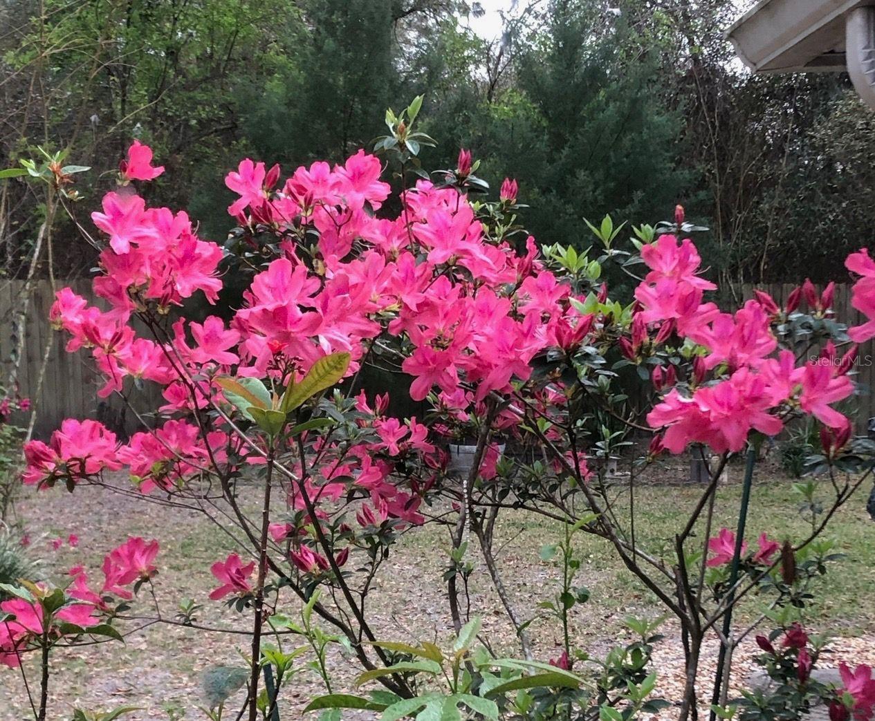 290 BIRCH AVE, ORANGE CITY, FL, 32763