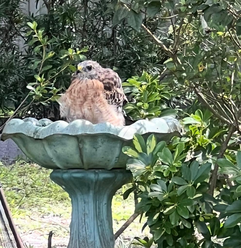 290 BIRCH AVE, ORANGE CITY, FL, 32763