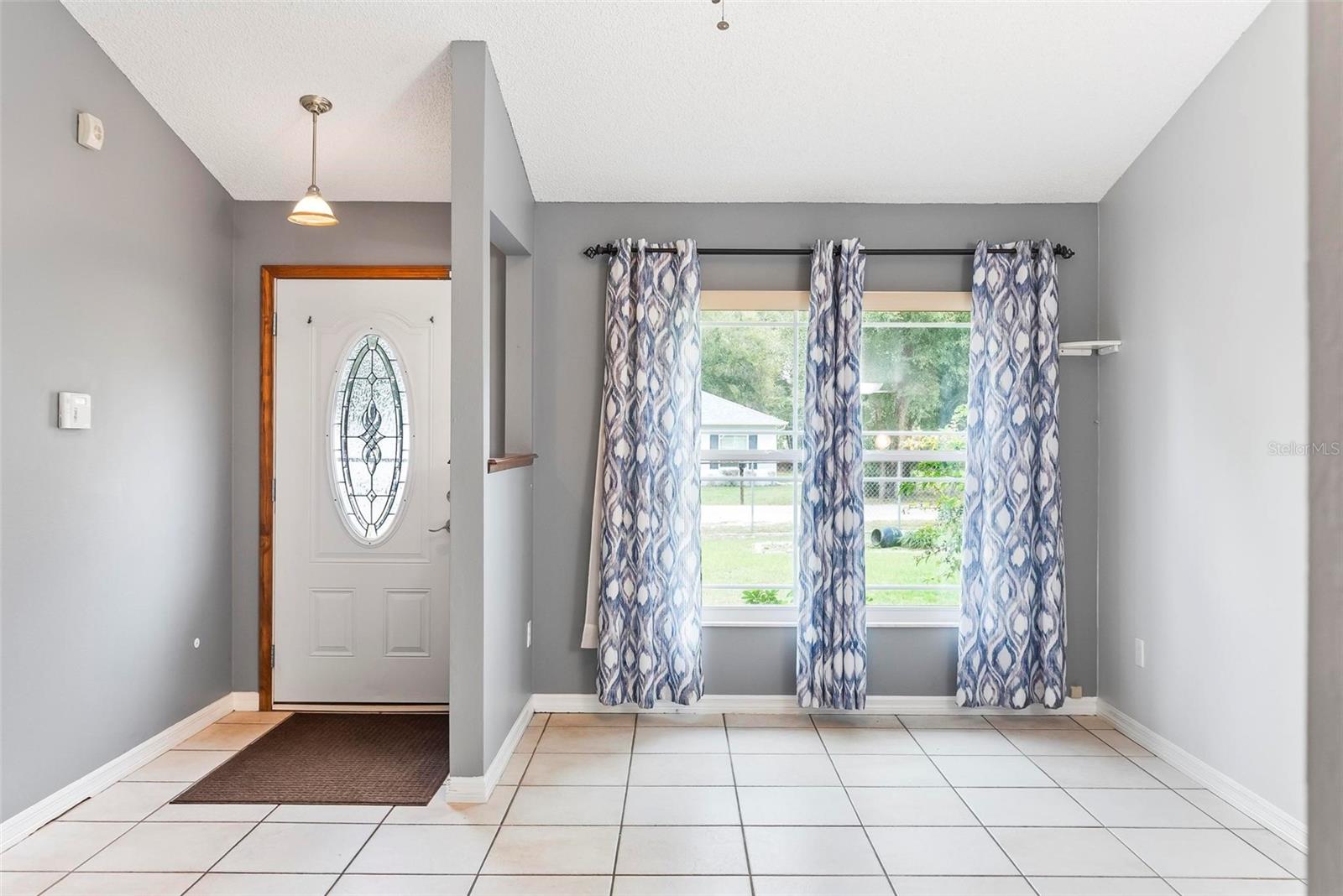 290 BIRCH AVE, ORANGE CITY, FL, 32763