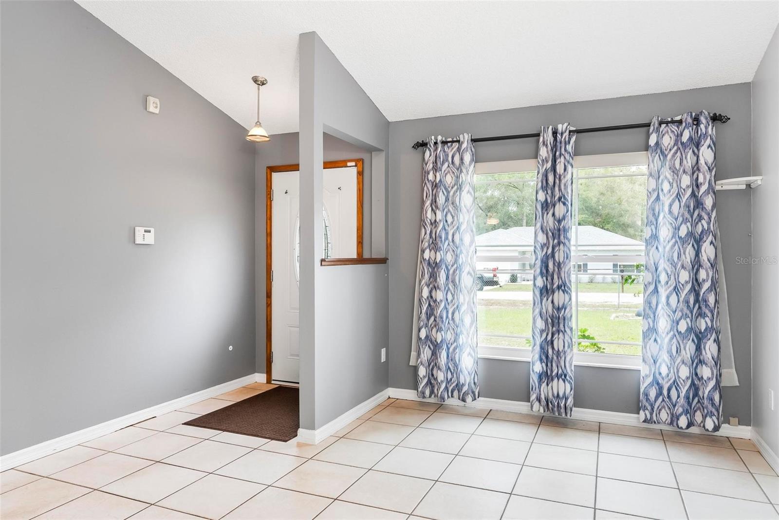 290 BIRCH AVE, ORANGE CITY, FL, 32763