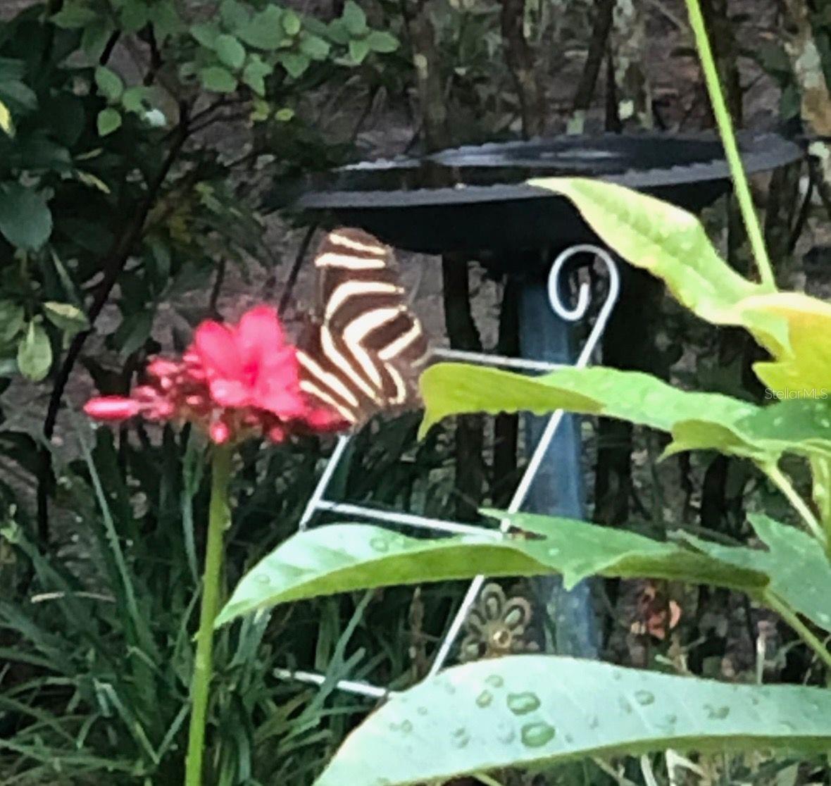 290 BIRCH AVE, ORANGE CITY, FL, 32763