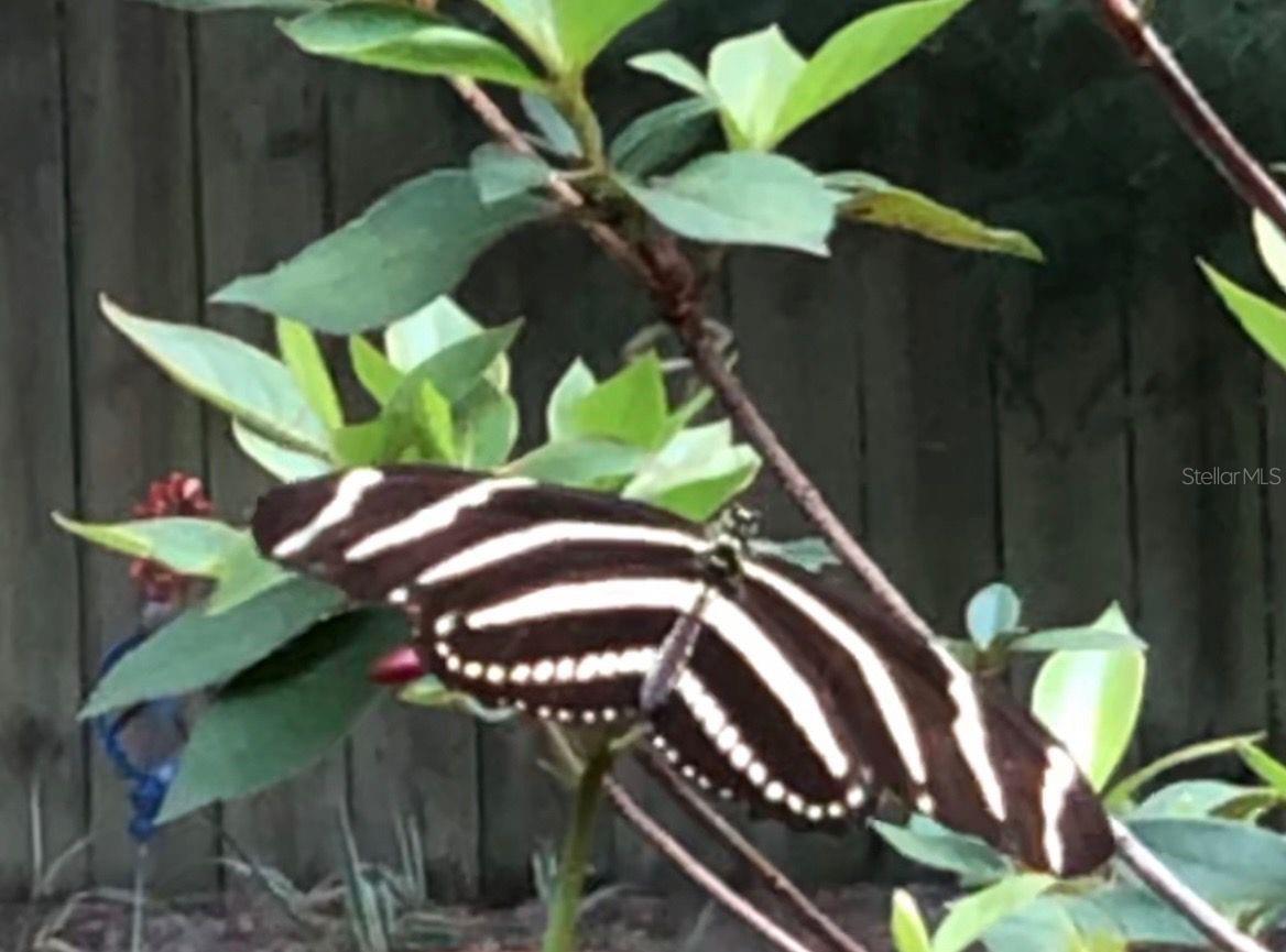 290 BIRCH AVE, ORANGE CITY, FL, 32763