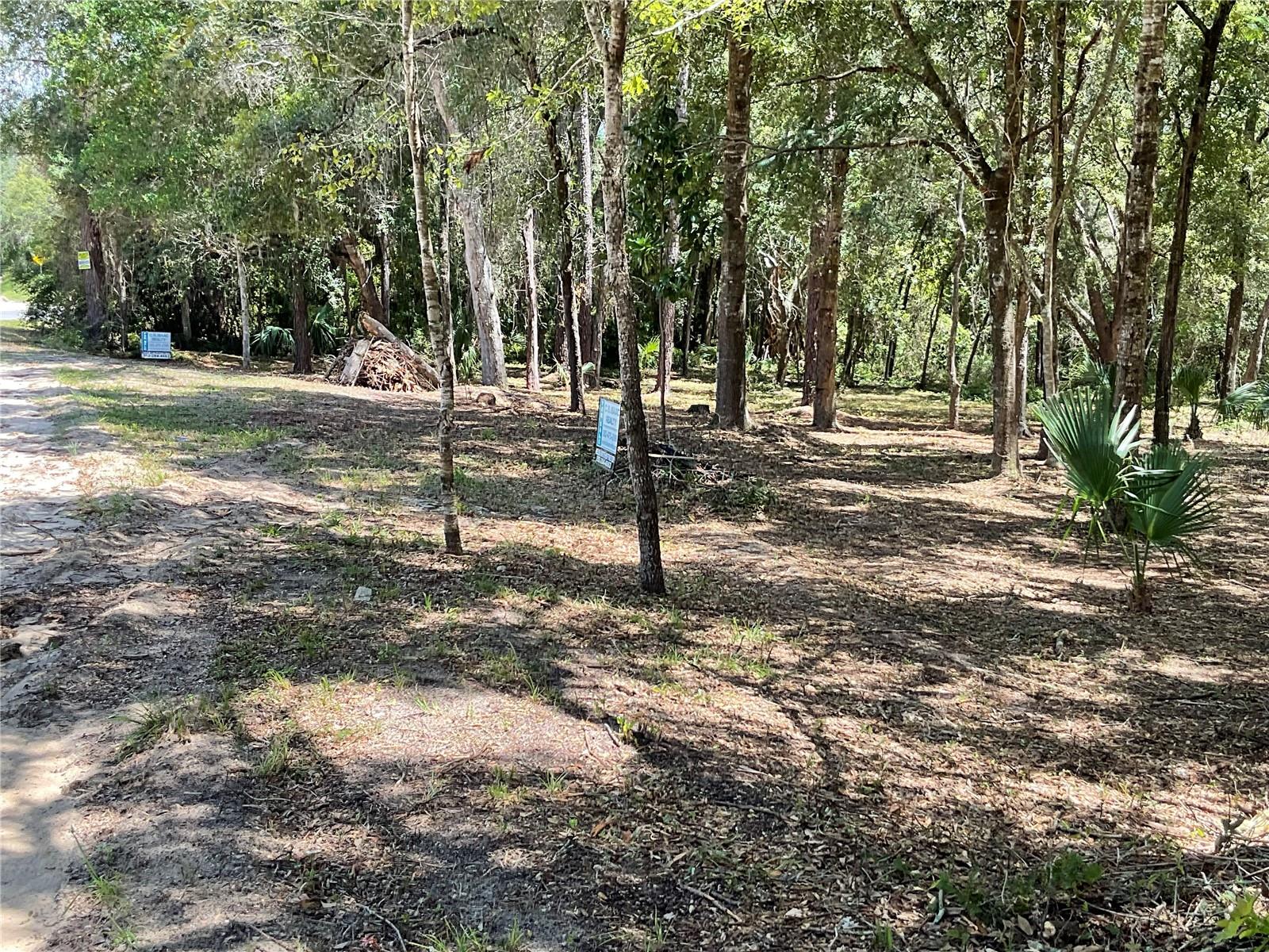 00 OAK ST, HAWTHORNE, FL, 32640