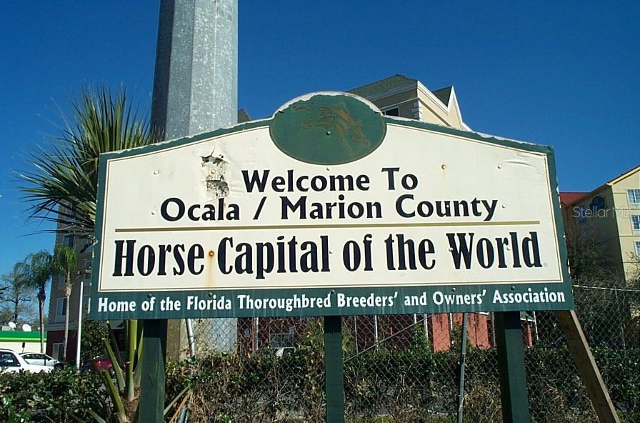 10235 SW 87TH TER, OCALA, FL, 34481