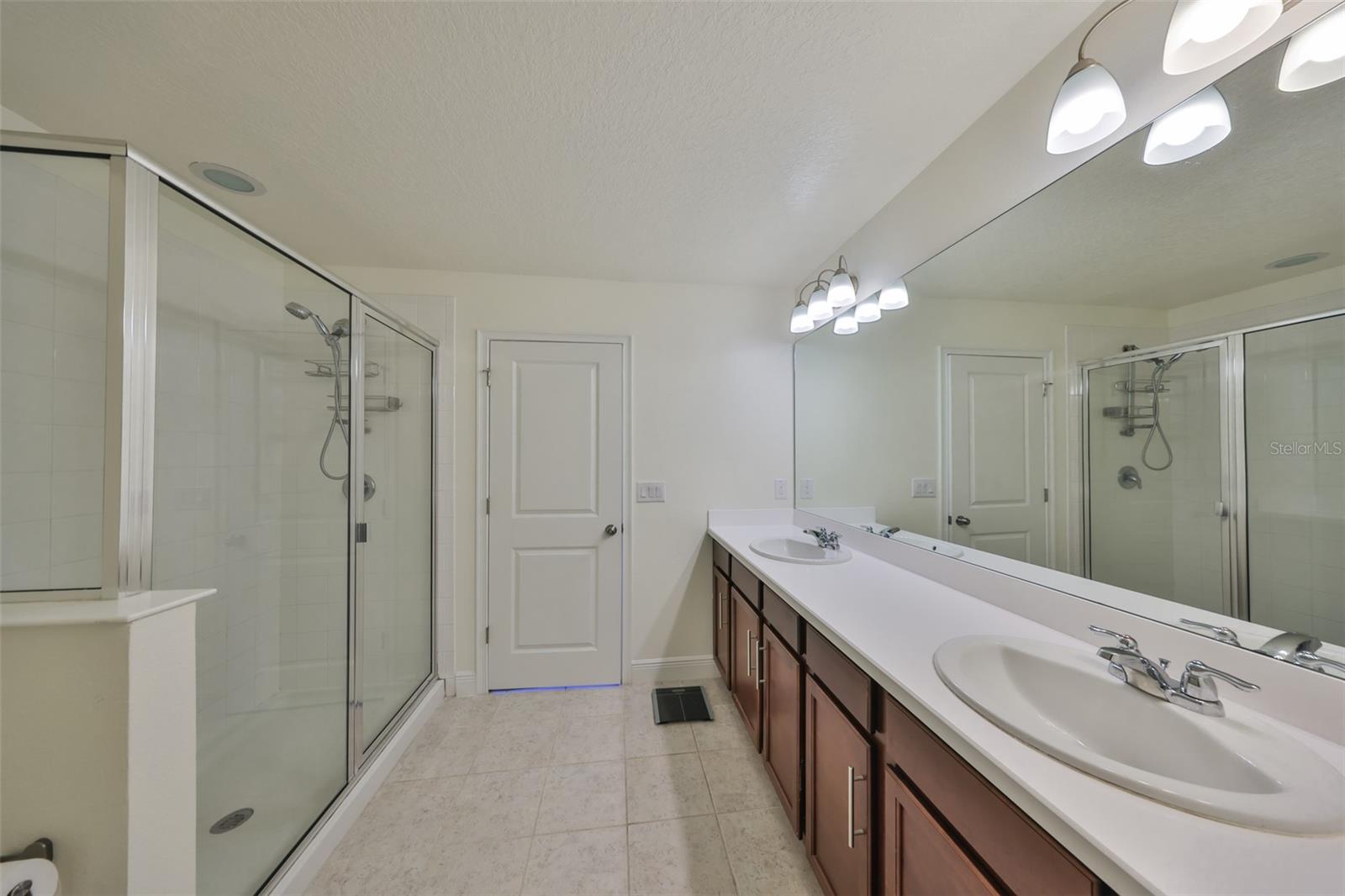 11644 CAMBIUM CROWN DR, RIVERVIEW, FL, 33569