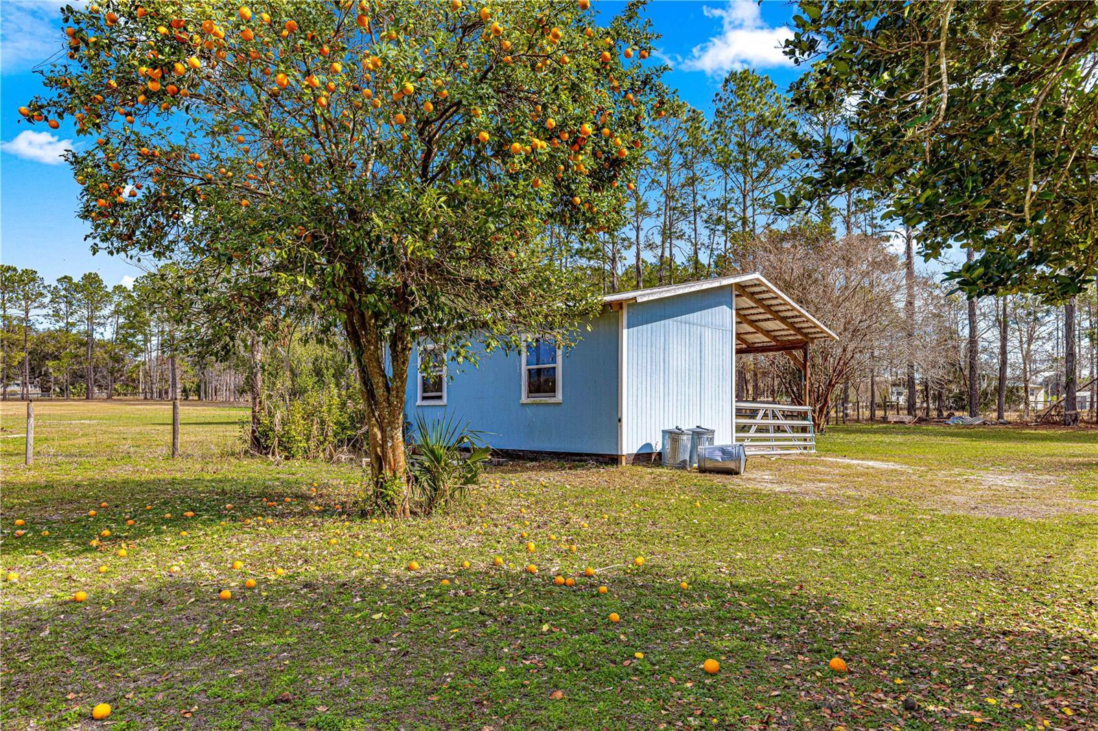 15540 N HIGHWAY 329, REDDICK, FL, 32686