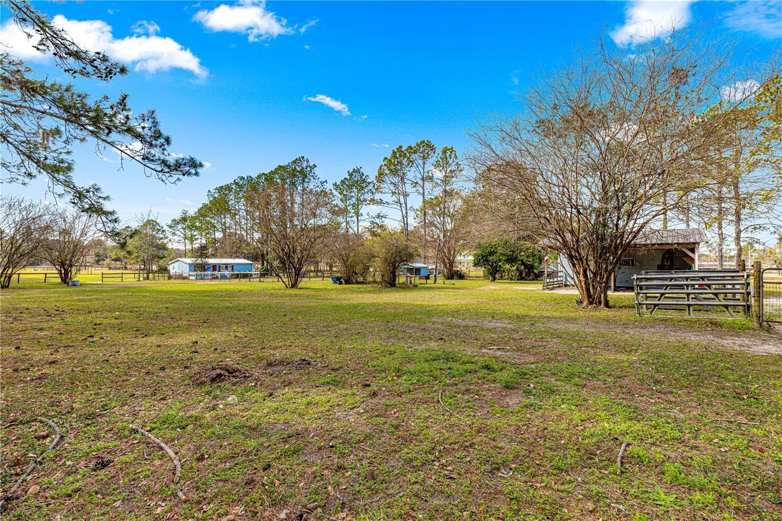 15540 N HIGHWAY 329, REDDICK, FL, 32686