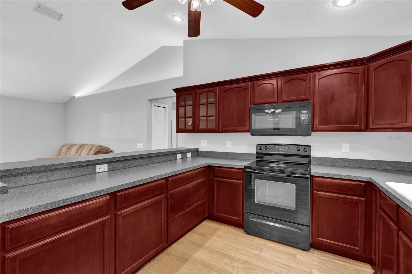 39104 MEYERS RD, LADY LAKE, FL, 32159